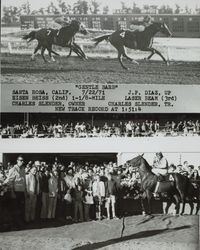 Photo finish and Winner's Circle for #4 horse "Gentle Barb" at the Sonoma County Fair Racetrack, Santa Rosa, California