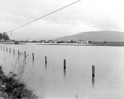 Flooded area of southeast Petaluma