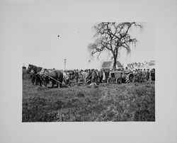 Ground-Breaking procession at the commencement of work on the Burbank Memorial Park at Santa Rosa Junior College