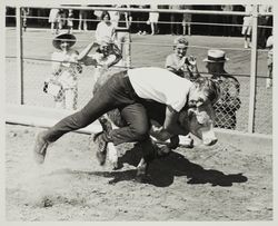 Bulldogging calves on Farmers' Day at the Sonoma County Fair, Santa Rosa, California