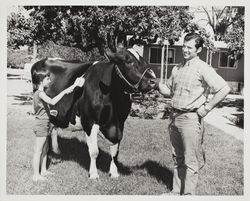 Tom Nunes and His Grand Champion Holstein at the Sonoma County Fair, Santa Rosa, California, about 1975