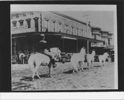 Ponies in a parade, Petaluma, California, about 1903