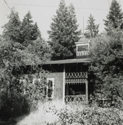 Hobby department of Tomasini Hardware stores, Petaluma, California in 1947