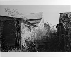 Exterior and outbuildings of The Gables, 4257 Petaluma Hill Road, south of Santa Rosa, California, September 1983