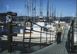 Boats docked at Spud Point Marina