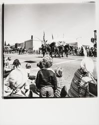 Mounted units in Apple Blossom Parade, Sebastopol, California, 1978