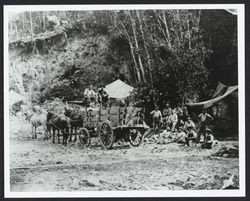 Quarrying in Los Guilicos Valley