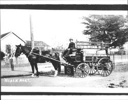 Black Bart, Petaluma, California, 1908