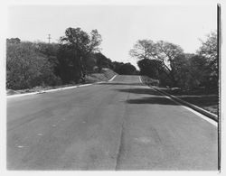 Alta Vista Avenue, Santa Rosa, California, 1964