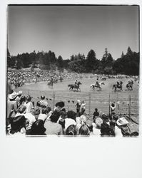 Guerneville rodeo, Guerneville, California, 1978