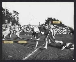 Leghorns beat Santa Rosa Bonecrushers, Petaluma, California, 1950