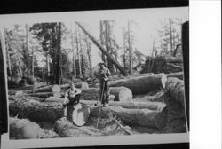 Ralph Sturgeon and Andrew Blaney cutting timber