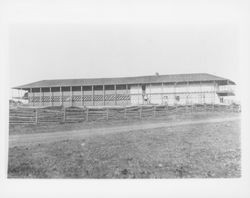 Stereoscopic view of Old Adobe, Petaluma, California, 1880