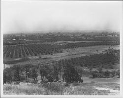 County Administration Center under construction, Santa Rosa, California, 1958