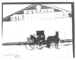 Horse and carriage at the Steamer Gold dock, Petaluma, California, 1905