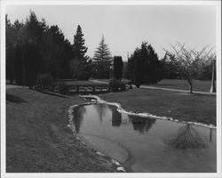 Juilliard Park, Santa Rosa, California, 1959