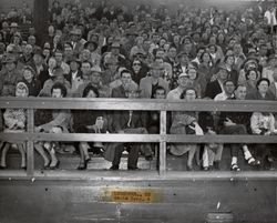 Spectators at the Petaluma Leghorn game against Santa Cruz