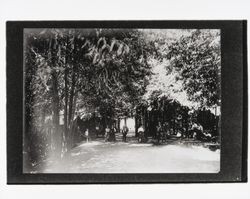 Refreshment stand in Monte Rio