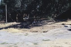 Site of chicken house demolished at the corner of Jewell and Leland Avenues in Sebastopol, Calif., Aug. 1978