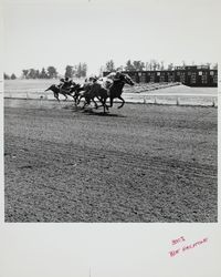 Racing pasts the tote board at the Sonoma County Fair Racetrack, Santa Rosa, California