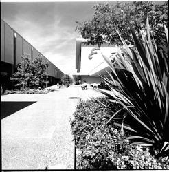 Exterior scenes at Coddingtown Shopping Center, Santa Rosa, California, May 26, 1971