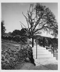 Fire damage in Boyes Hot Springs, California, on September 22, 1964]