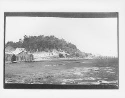 Low tide at beach in Inverness, California, about 1908