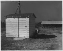 Pumphouse on an unidentified Petaluma-area poultry farm, 1950s, 1950s or 1960s