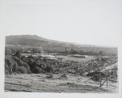 Looking south to Farmers Lane from hill behind Flamingo Hotel, Santa Rosa , California, 1964