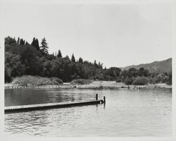 Dock extending into the Russian River