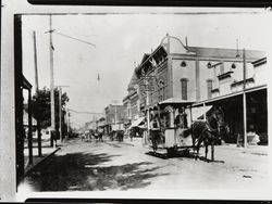 Santa Rosa's horse drawn trolly