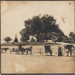 Horses and carriages tied to railing at Hill Plaza Park