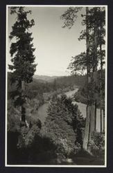 Looking upstream toward Guernewood Park