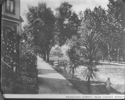 Mendocino Street near Cherry Street