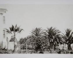 Front yard of the Fred L. Volkerts home in Petaluma, California, 1930s