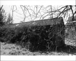 Outbuilding at Andresen Ranch, Penngrove, California, 1992