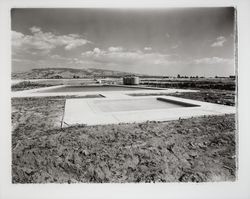 Swimming pool in Alicia Park, Rohnert Park, California, 1958