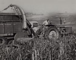 Harvest time on St. Anthony's Farm #4, 11207 Valley Ford Road, Petaluma, California