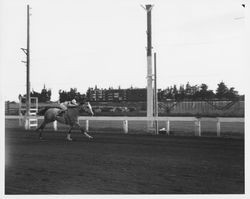 Horse racing at the Fair Grounds