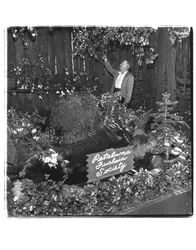 Unidentified man with a display of the Petaluma Fuchsia Society, Petaluma, California, 1955