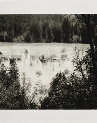 Flooding along Russian River, Lawson Lane, Guerneville, California, March 1940