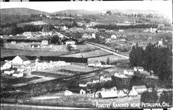 Poultry ranches near Petaluma, Cal