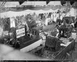 Italian Swiss Colony display at the 1901 Cloverdale Citrus Fair, Cloverdale, California