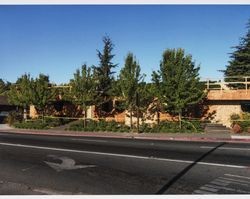 Remodeling work on office building at 130 Petaluma Avenue, Sebastopol, Calif., June 19, 2009