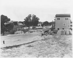 Unidentified northern Petaluma neighborhood, 1950s