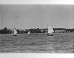 Sailboats on the Petaluma River, July 28, 1973