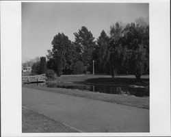 Juilliard Park, Santa Rosa, California, 1959