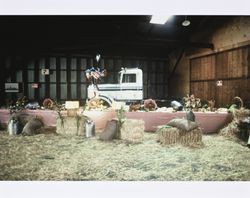 Table of cheeses at a California Cooperative Creamery event, 1983