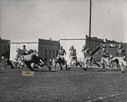 Defensive play during Petaluma Leghorn game against Eagle Rock Athletic Club