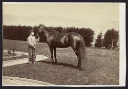 Horse Henry Wallace and a young boy